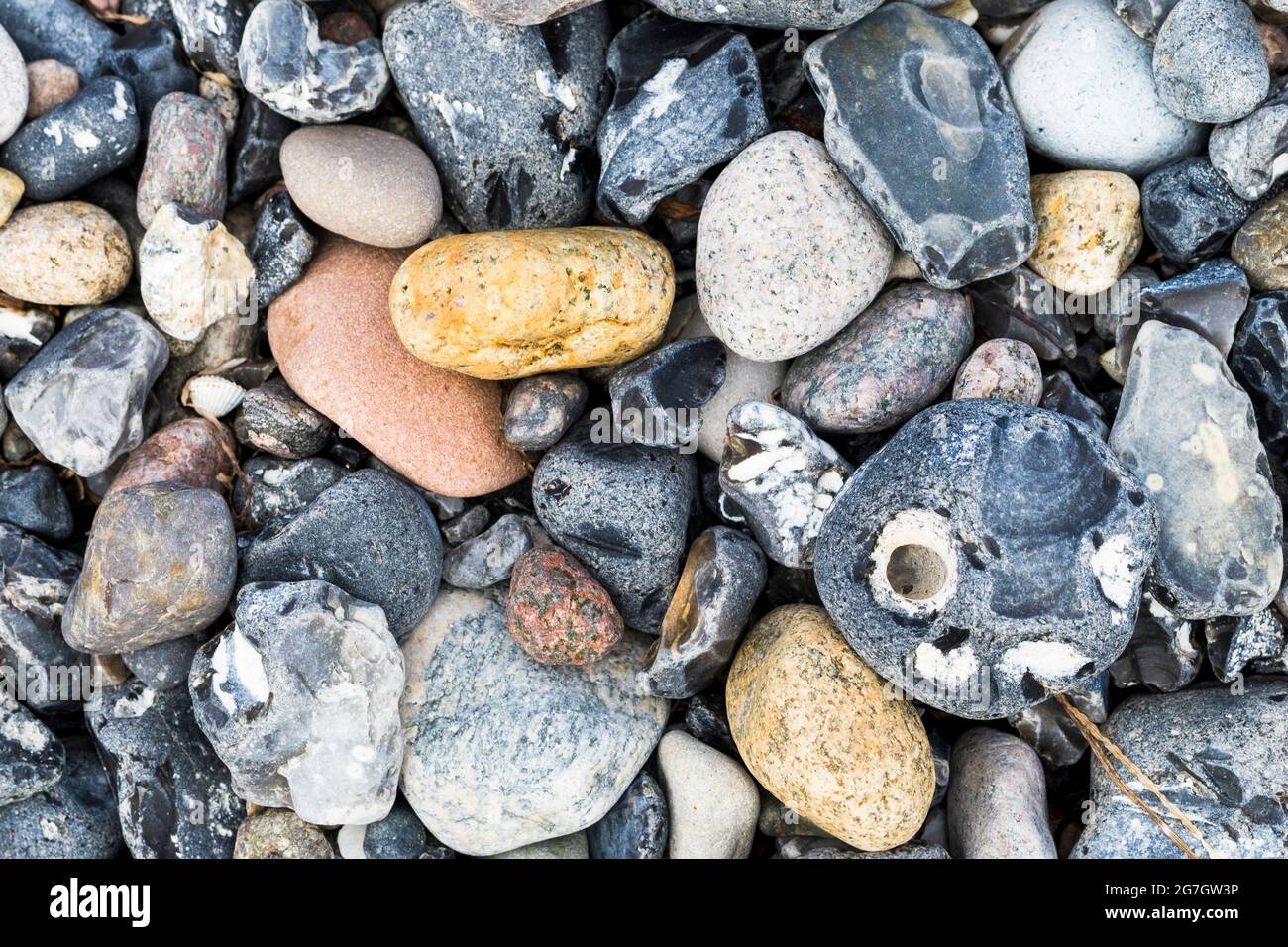 pebbles and flintstones on the beach, adder stone, Mecklenburg-Western Pomerania, Ruegen, Nationalpark Vorpommersche Boddenlandschaft Stock Photo