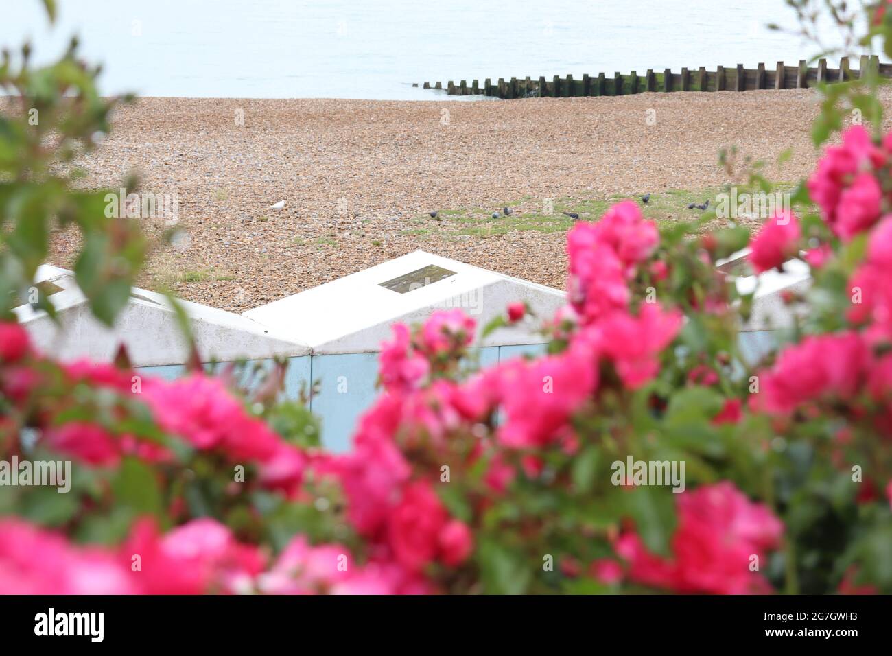 Beach huts in Eastbourne Stock Photo