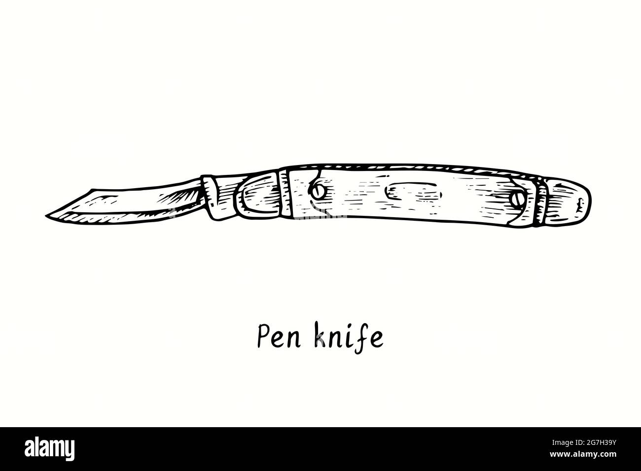 Pen knife type. Ink black and white drawing outline illustration Stock