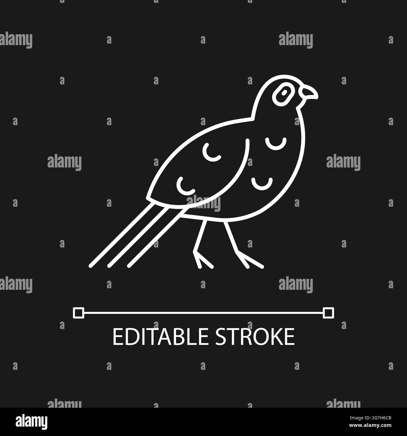 Bird linear icons set for dark and light mode Stock Vector Image & Art ...