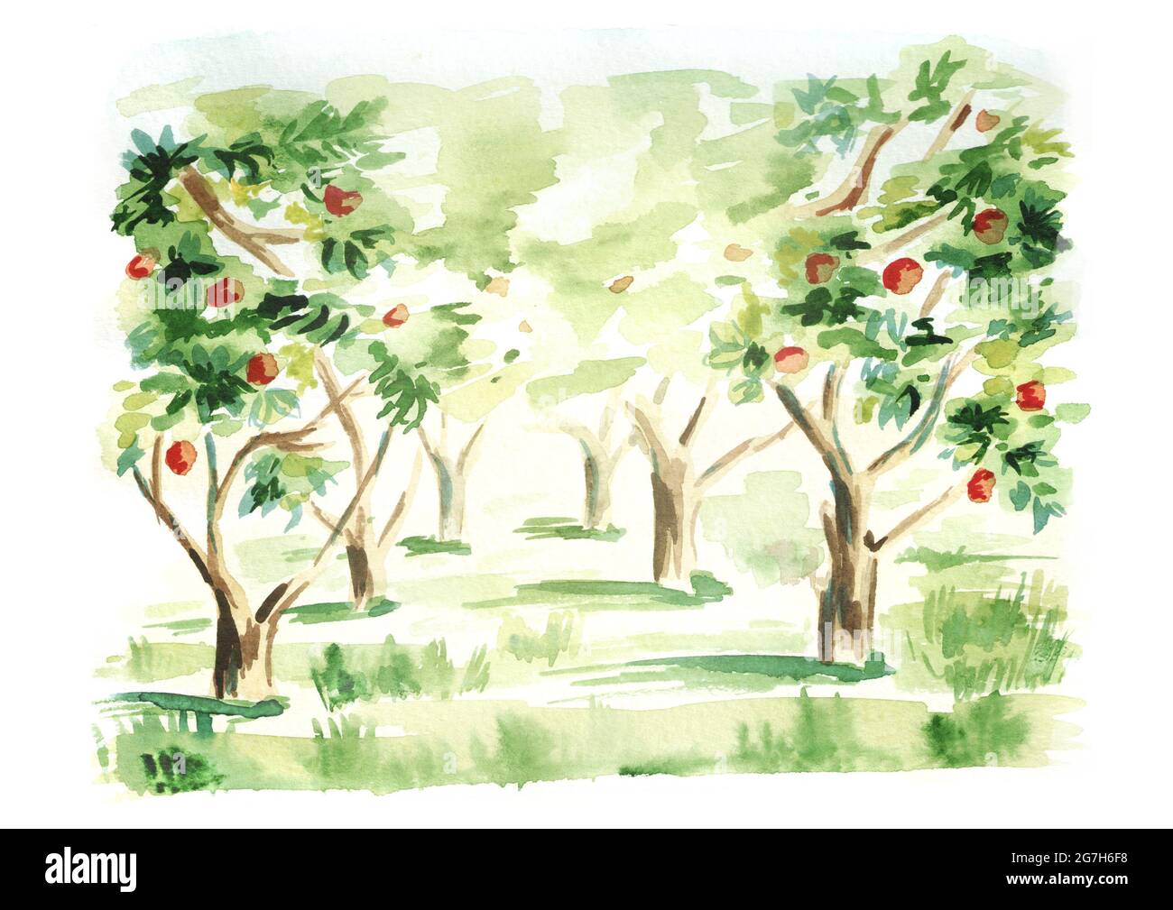 Рисование Яблоневый сад