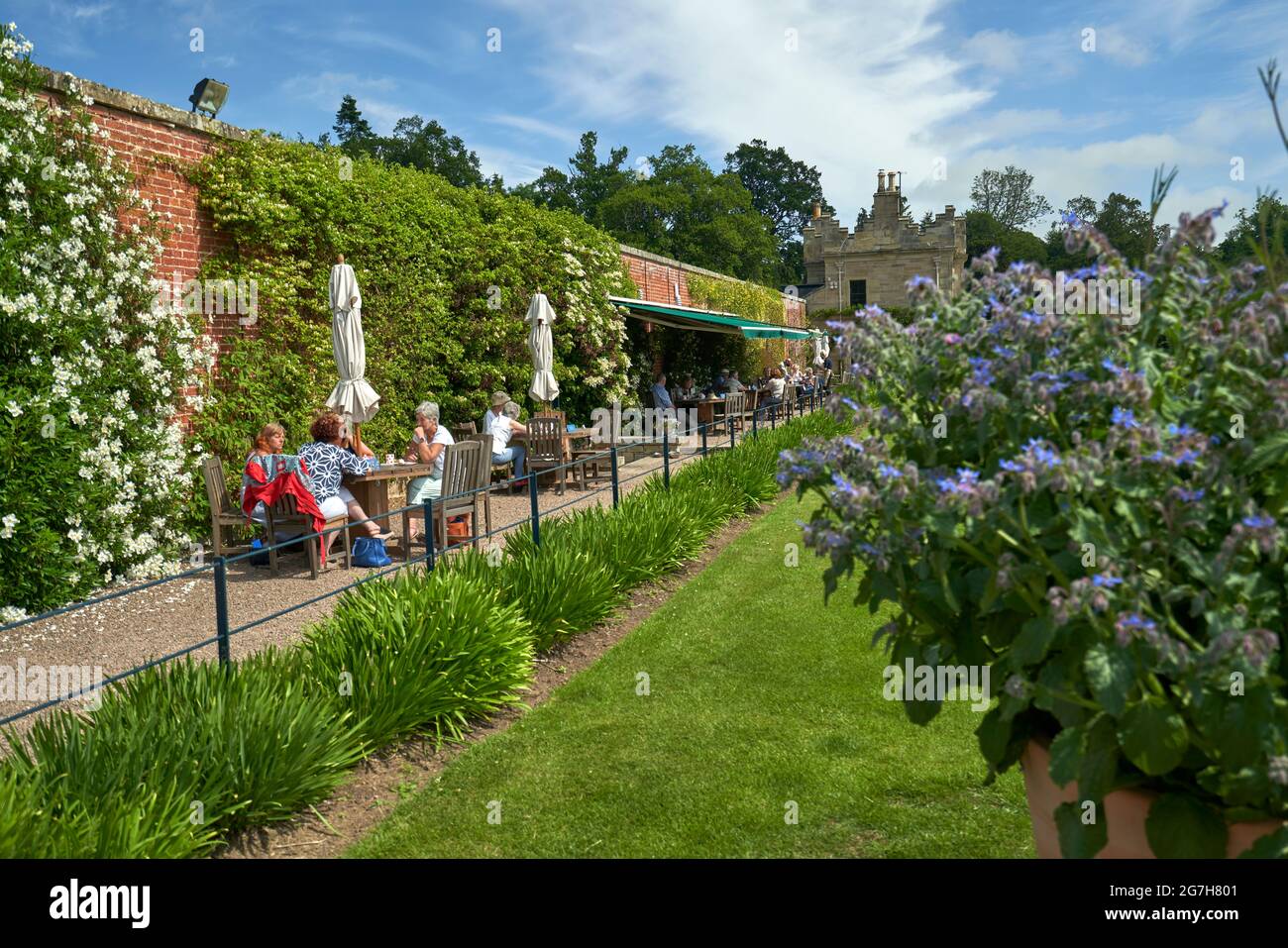 The Walled Garden at Floors Castle on a beautiful summers day. Stock Photo
