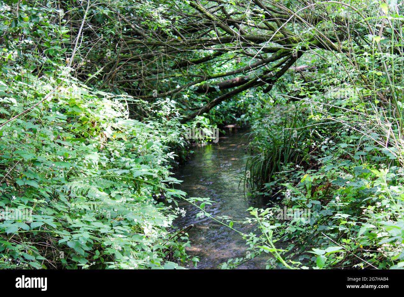 Downstream Photo Crystal clear water flowing downstream hi-res stock photography and ...