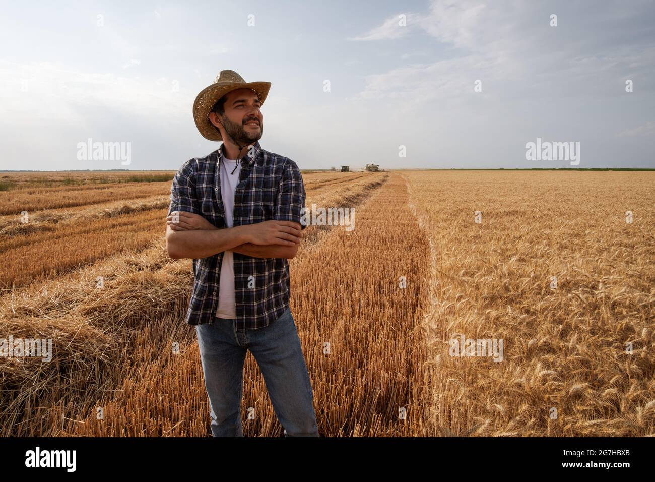 Farmer is standing in front of his wheat field while harvesting is ...