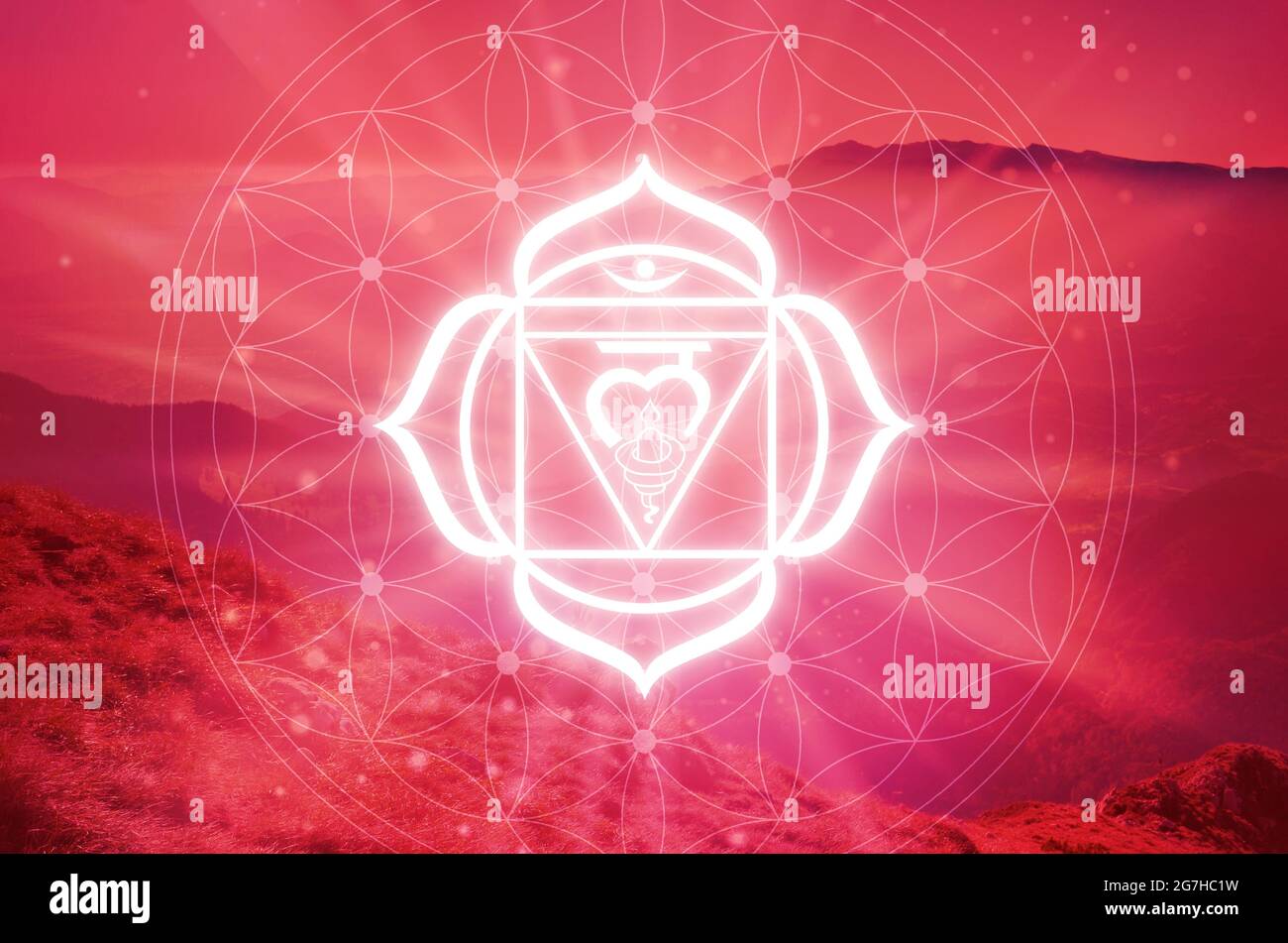 Muladhara Chakra symbol on a red background. The First Chakra, or the Root Chakra Stock Photo