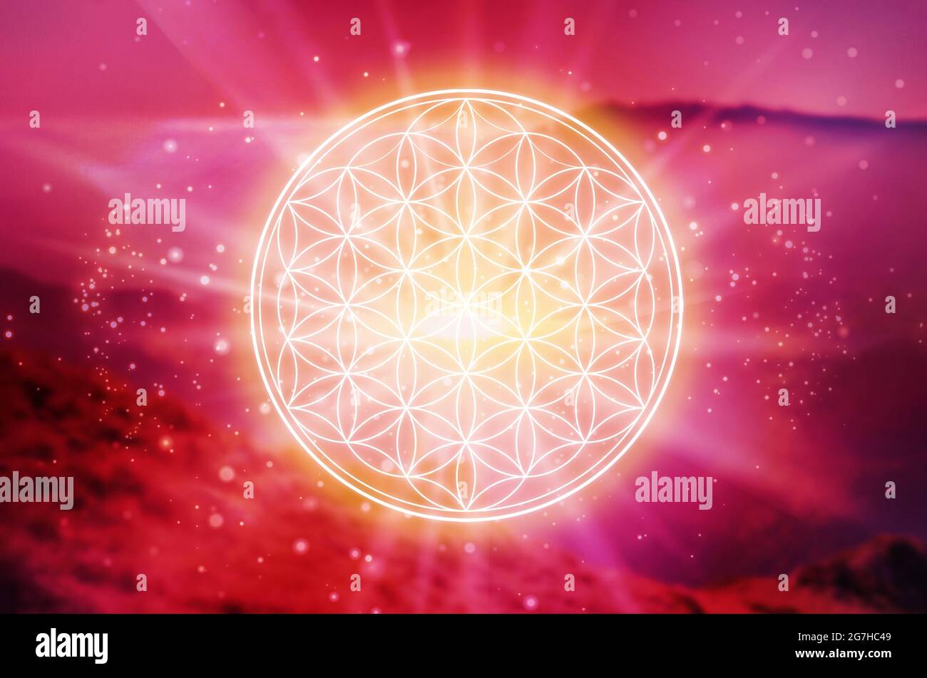 Sacred geometry flower life design hires stock photography and images