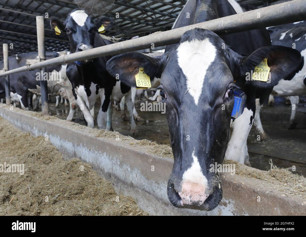 Outside Milk Processing Plant High Resolution Stock Photography and