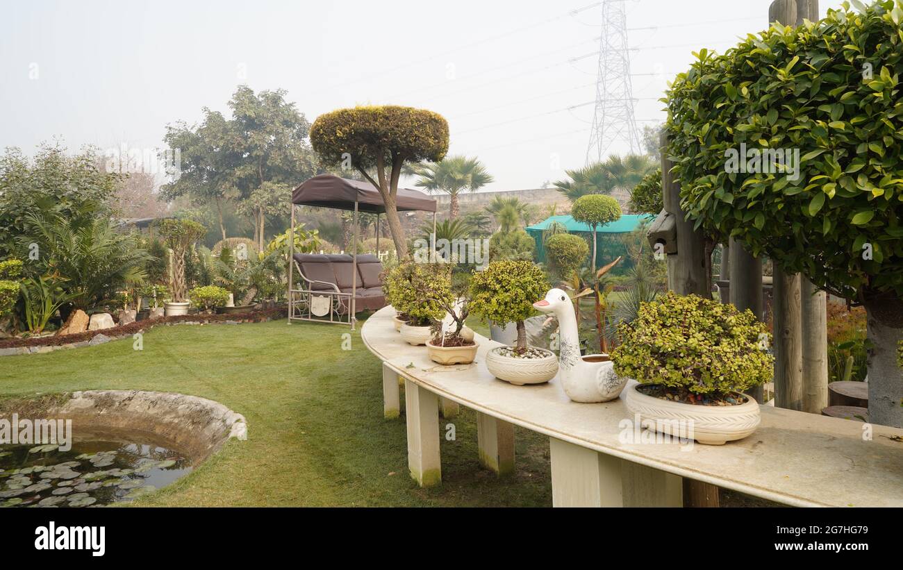 Garden vectors hi-res stock photography and images - Alamy