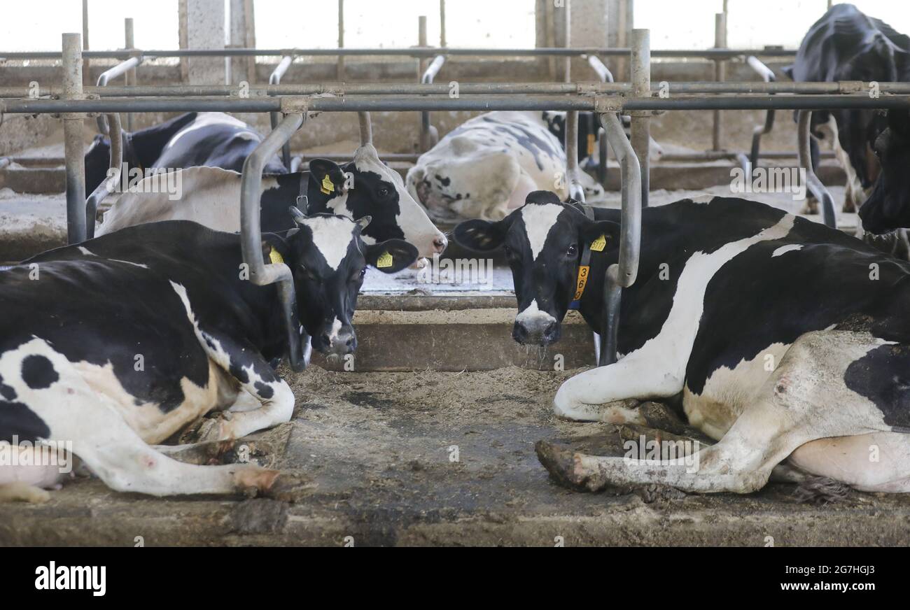 Outside Milk Processing Plant High Resolution Stock Photography and