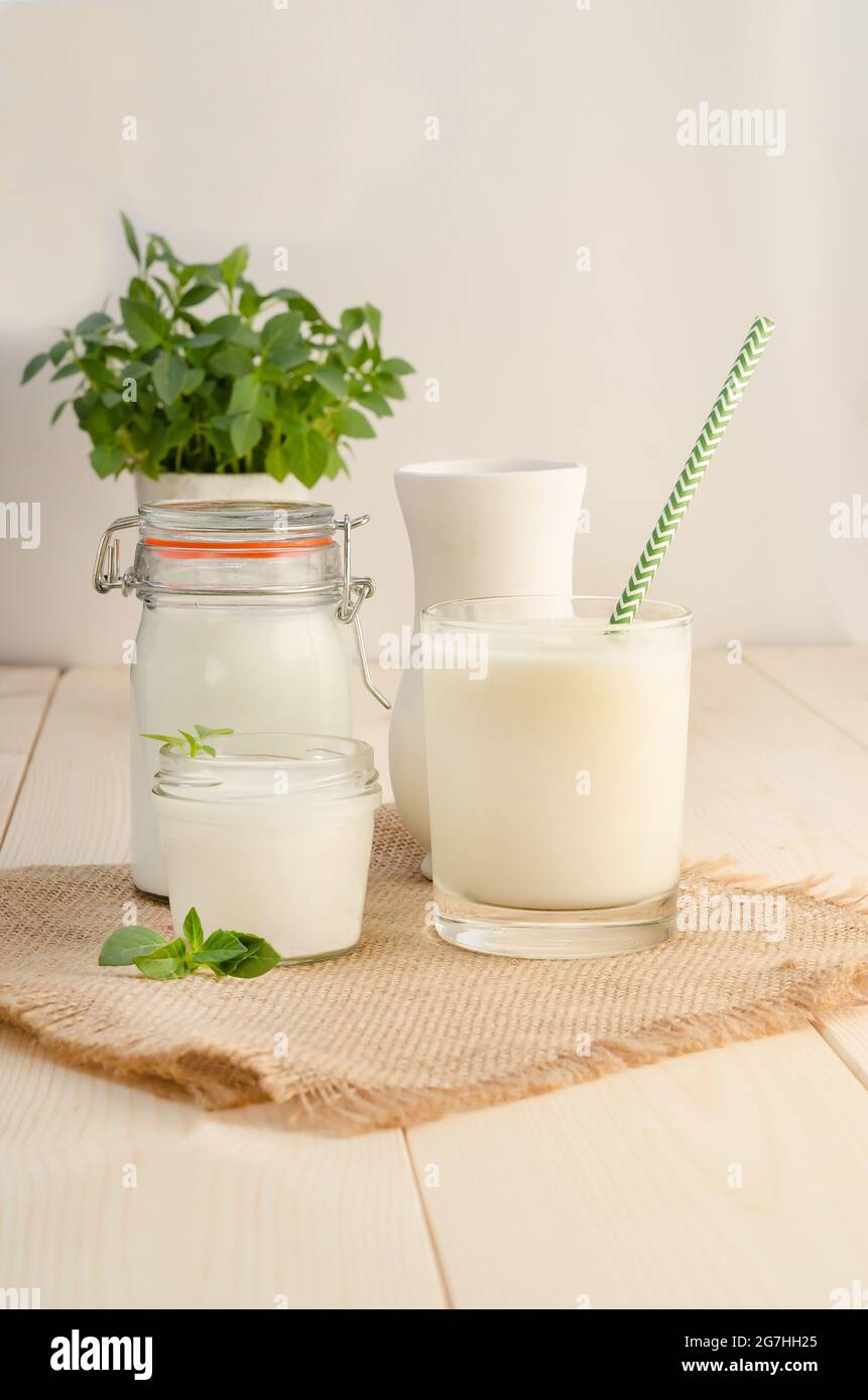 Dairy starter culture for the preparation of fermented milk products
