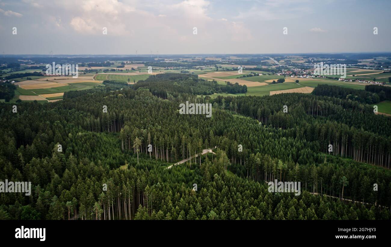 Aerial view of green dense forests on a sunny day Stock Photo - Alamy