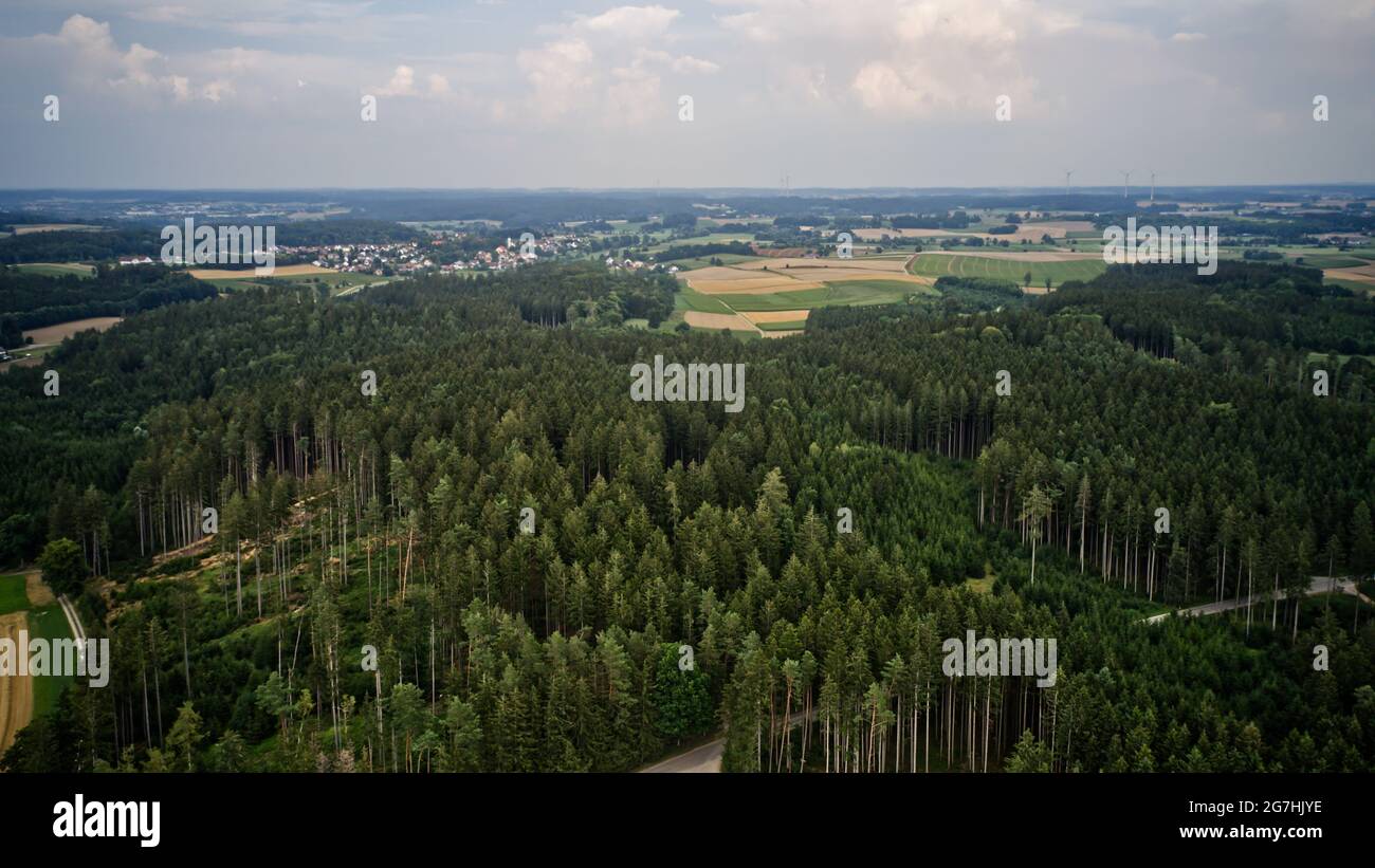 Aerial view of green dense forests on a sunny day Stock Photo - Alamy