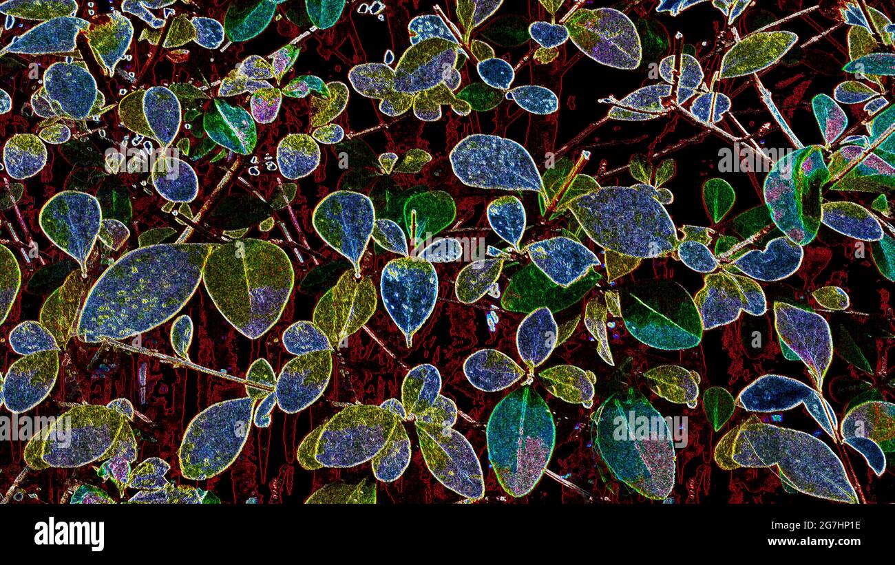 Bright pattern of multicoloured leaves Stock Photo