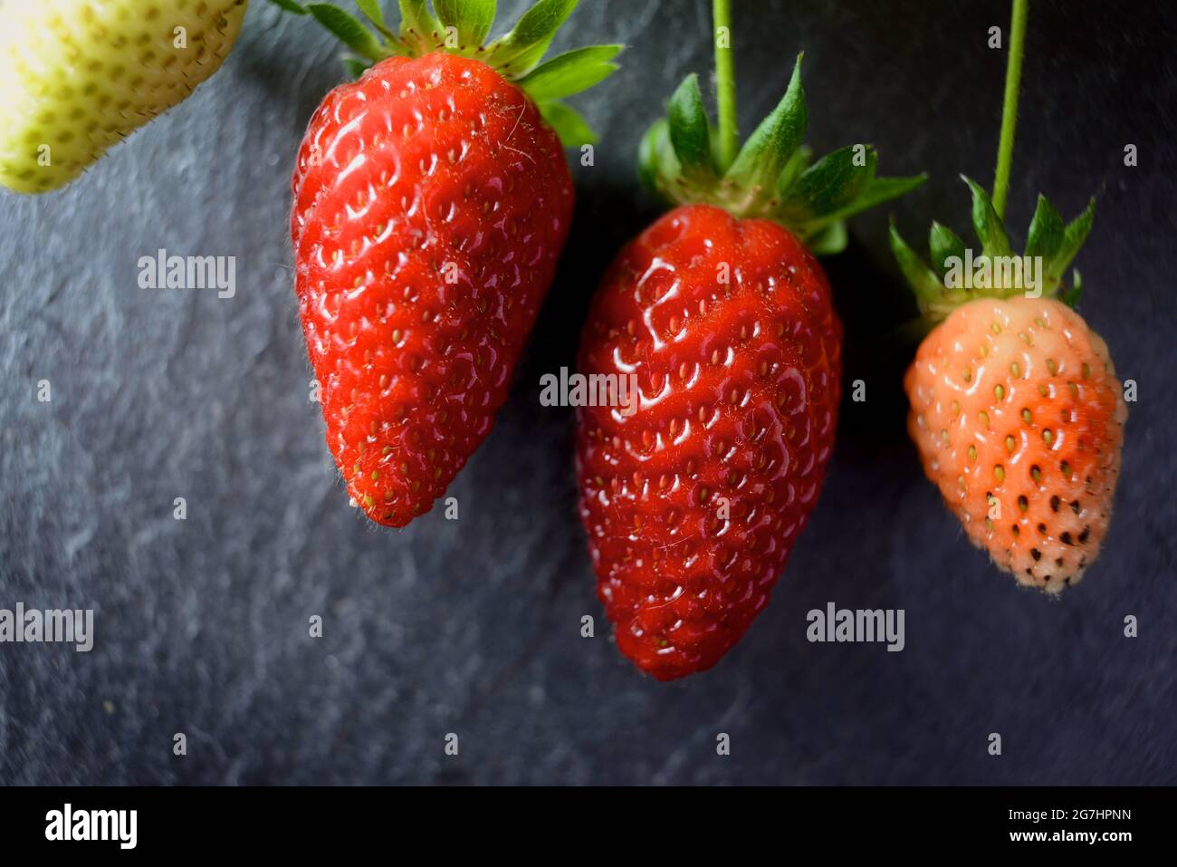 Ripening of strawberries on a slate wall Stock Photo - Alamy