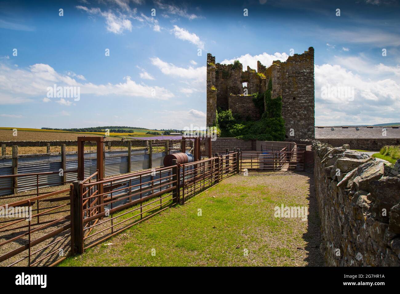 Eden castle banffshire scotland Stock Photo