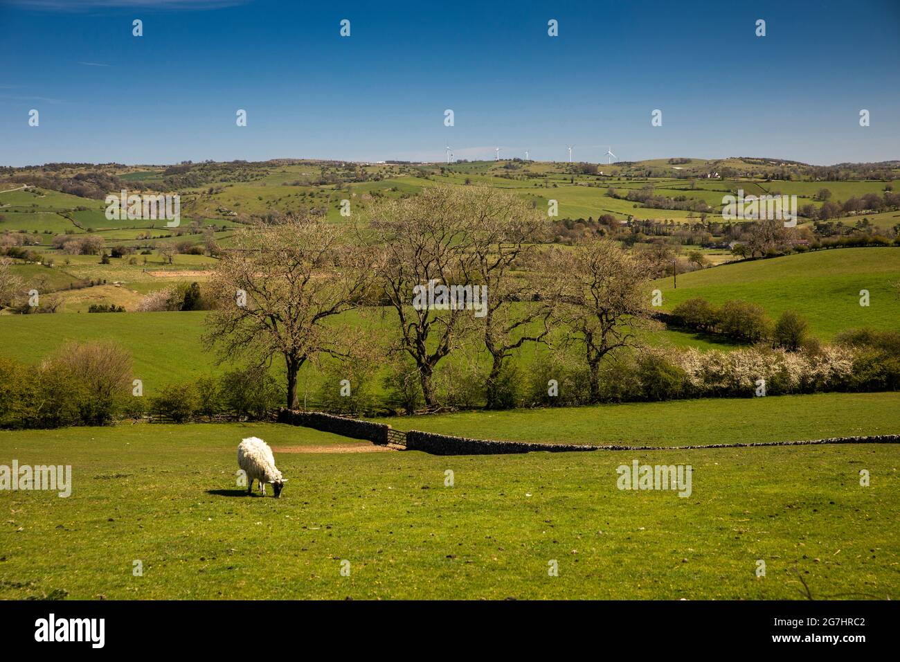 UK, England, Derbyshire, Tissington, Limestone Way, view over Bletch Brook valley to Parwich, Stock Photo