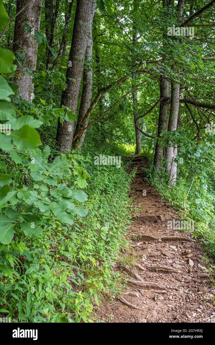 Appalachian Trail at Neels Gap on the Eastern side of Blood Mountain near Blairsville, Georgia. (USA) Stock Photo