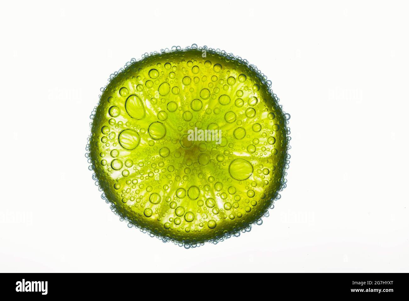 Close-up of air bubbles covering slice of juicy lime floating in water Stock Photo