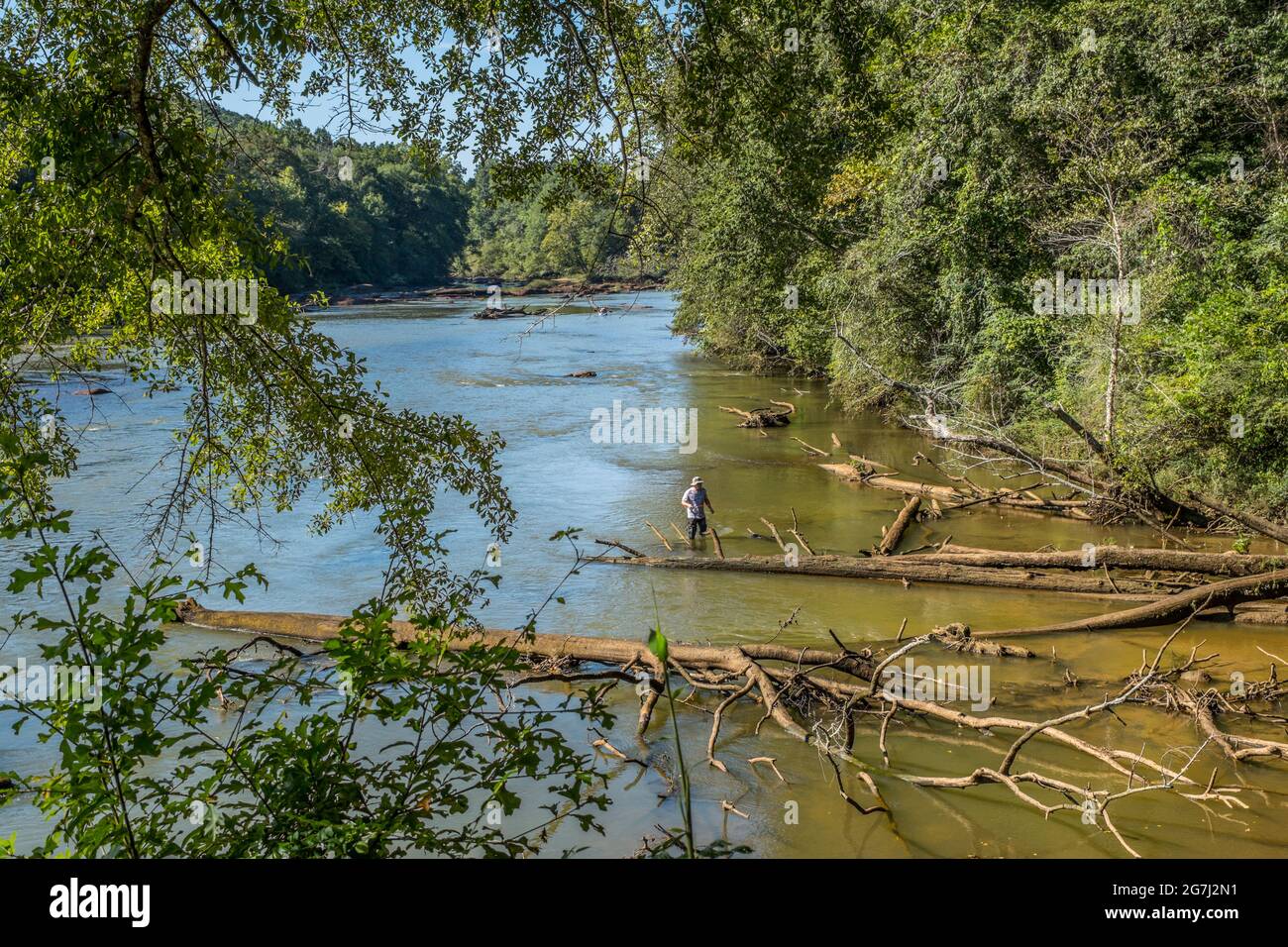 Looking down from the cliff side at a man fishing in the shallow water by the fallen trees in the Chattahoochee river on a sunny day in late summertim Stock Photo