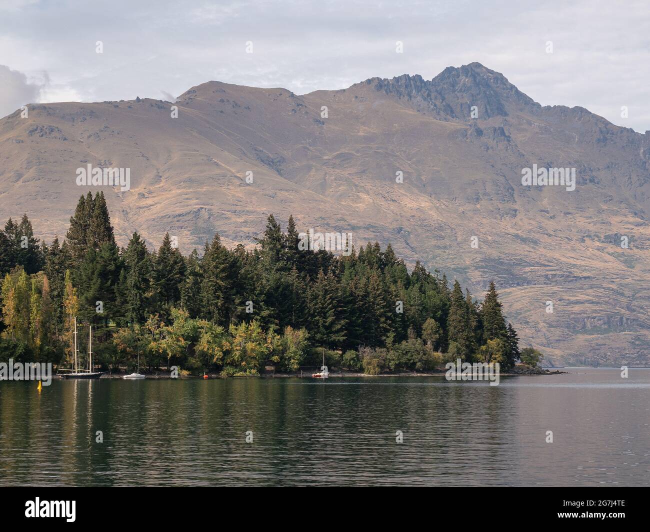 View of scenic trees in the background of Cecil Peak, Lake Wakatipu, New Zealand Stock Photo