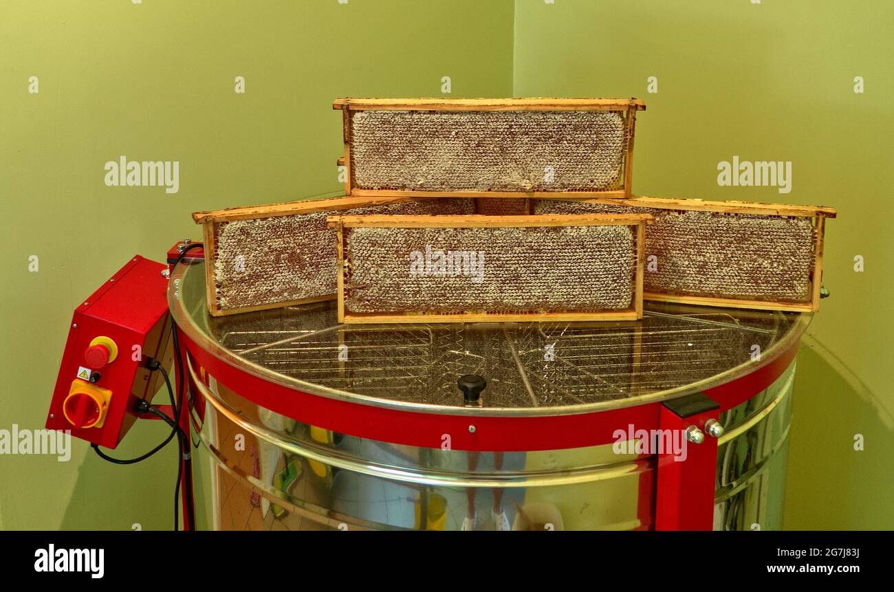 Honey combs on honey separator Stock Photo Alamy