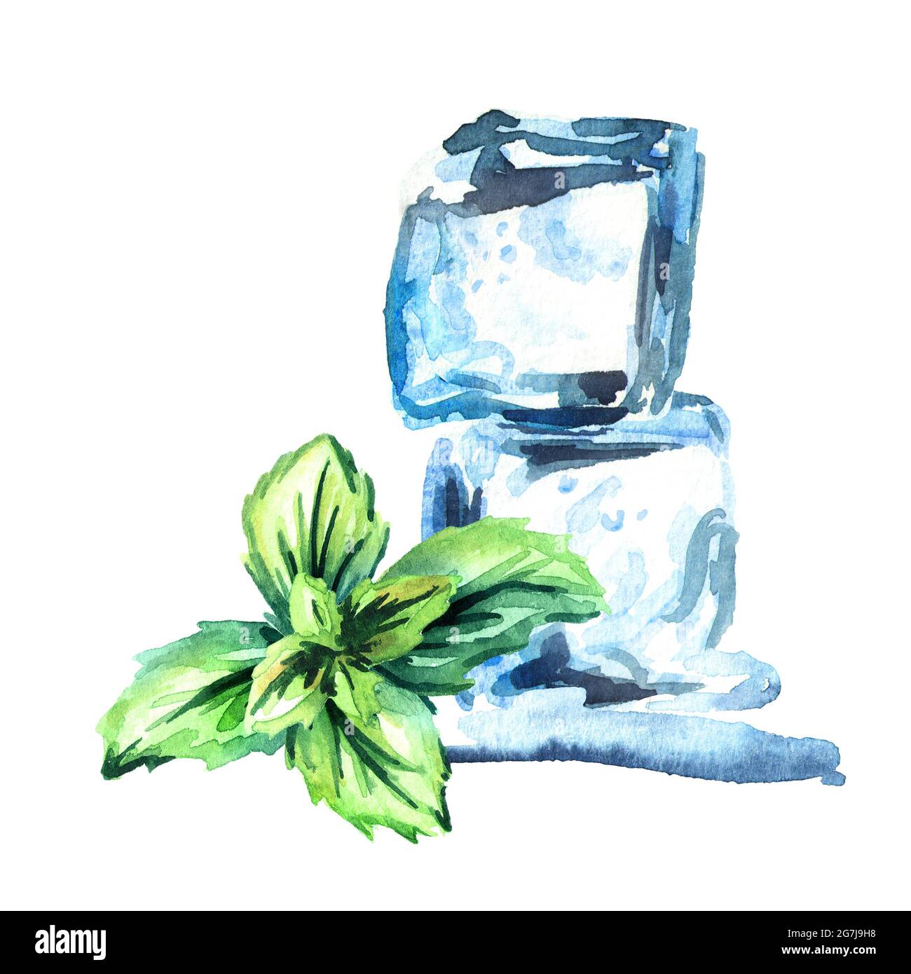 Ice cubes and mint leaves on a white background watercolor hand drawn illustration Stock Photo