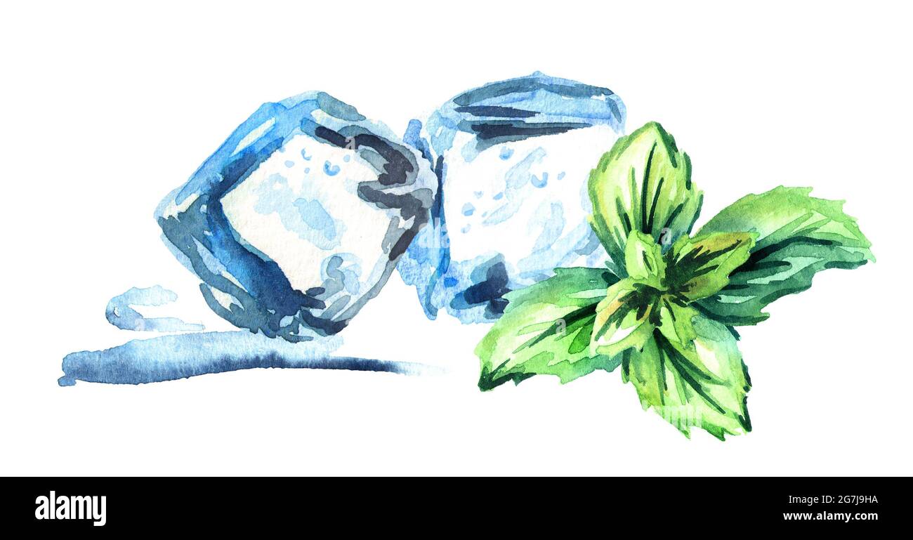 Ice cubes and mint leaves on a white background horizontal watercolor hand drawn illustration Stock Photo