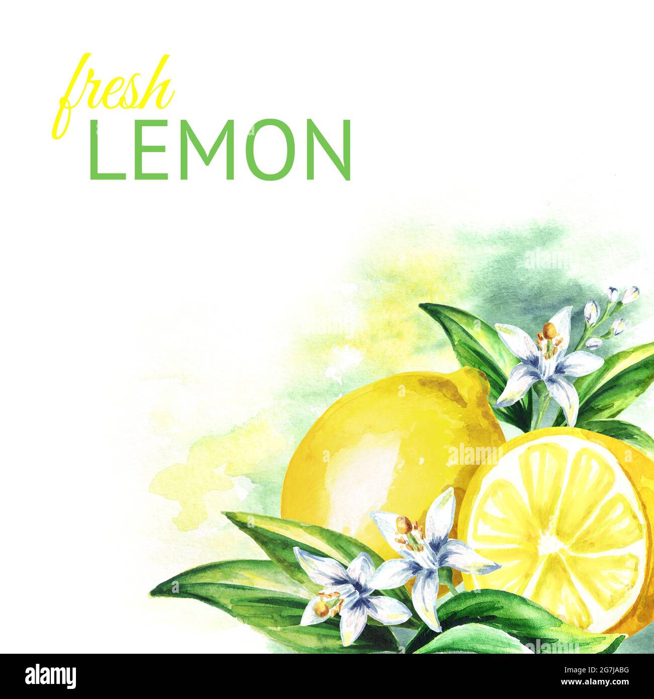 Lemon background. Watercolor hand drawn illustration Stock Photo - Alamy