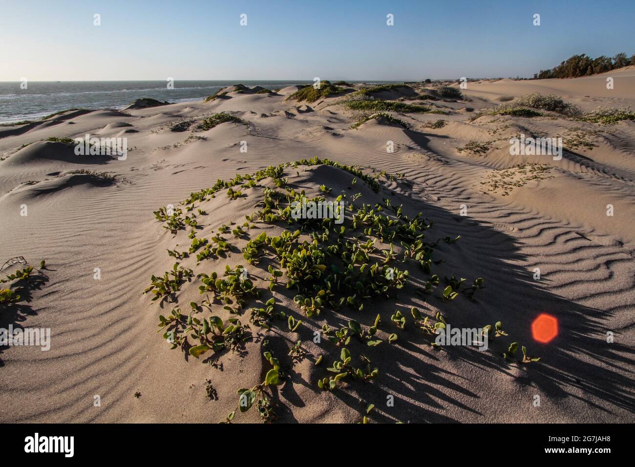 Playa y dunas hi-res stock photography and images - Alamy