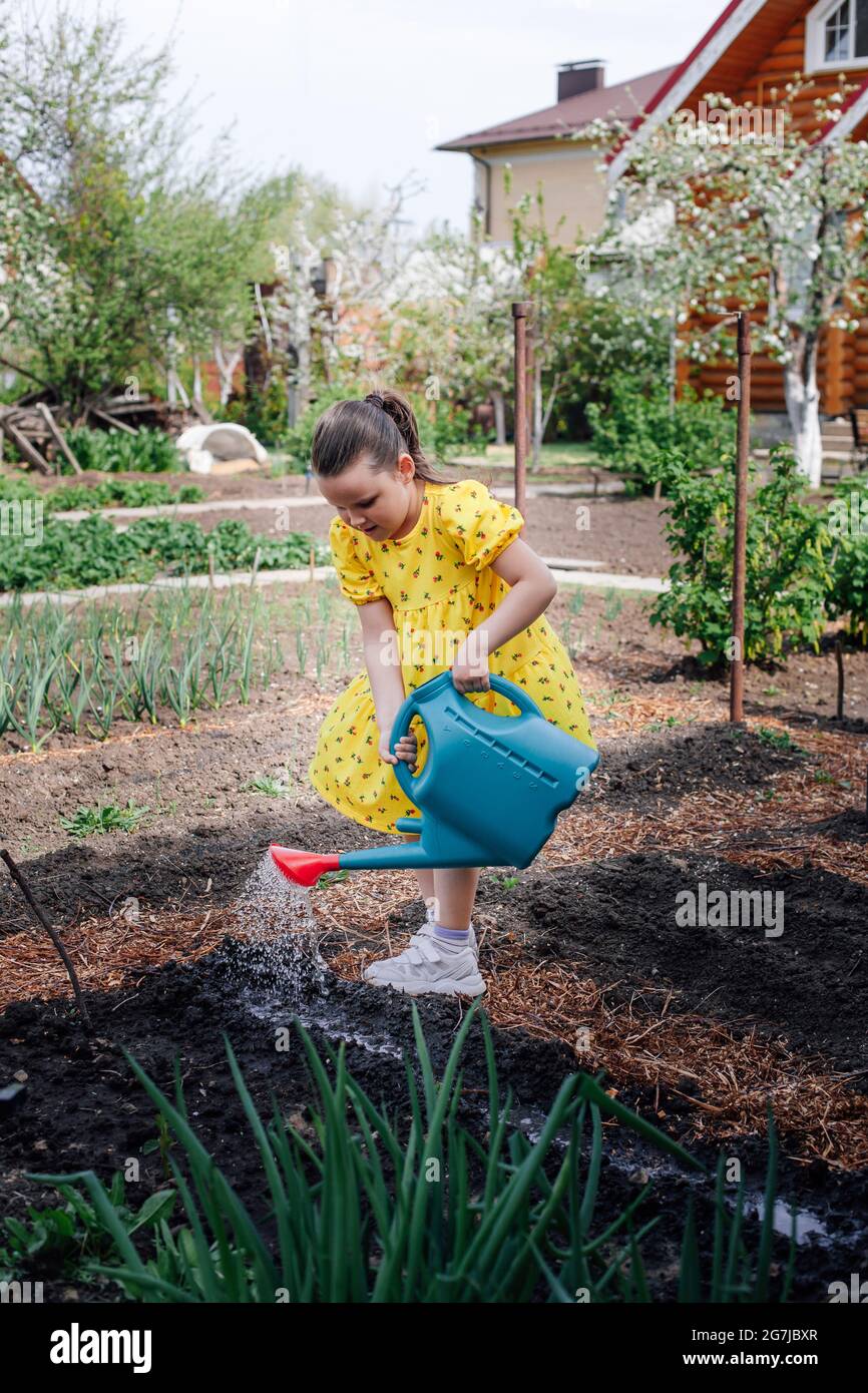 the little gardener helps her parents to garden, plants seeds and waters the beds from a watering can in the backyard garden Stock Photo