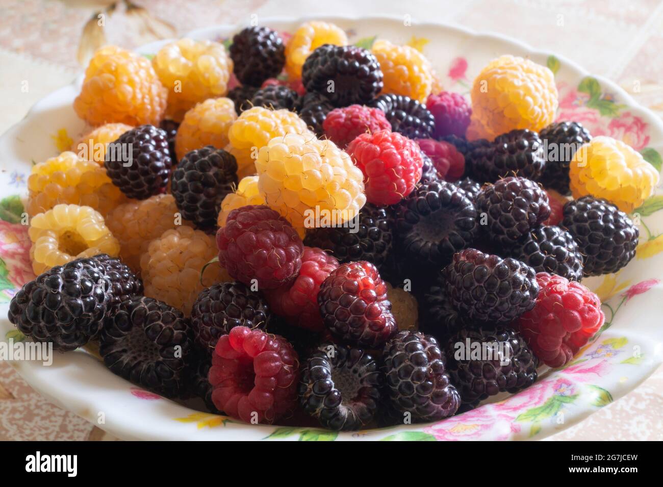 Black and red raspberries in a plate on the table.Ripe berries in the summer Stock Photo