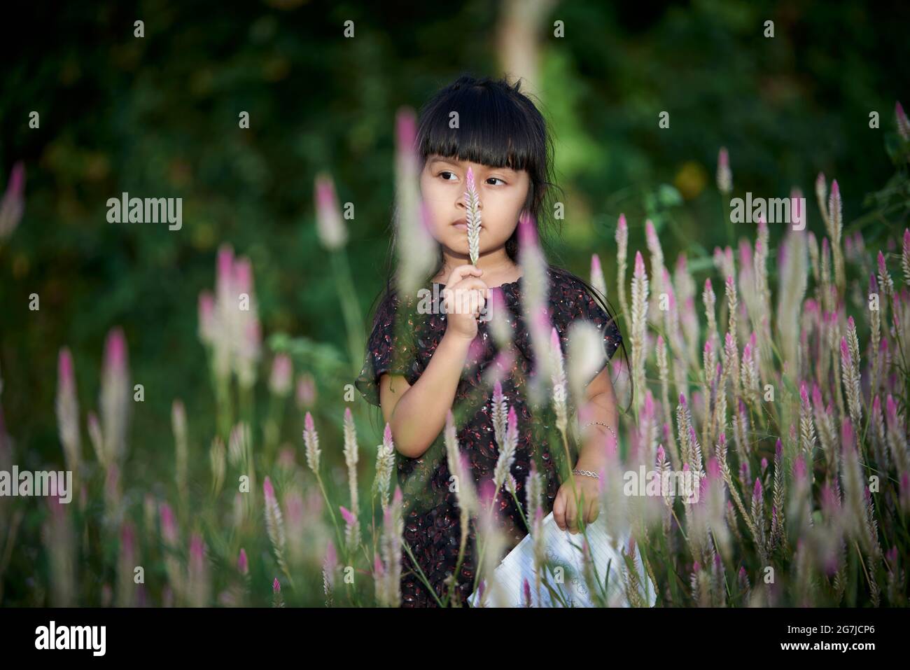 Cute little girl enjoying bloom of wild flowers in the field of meadow ...