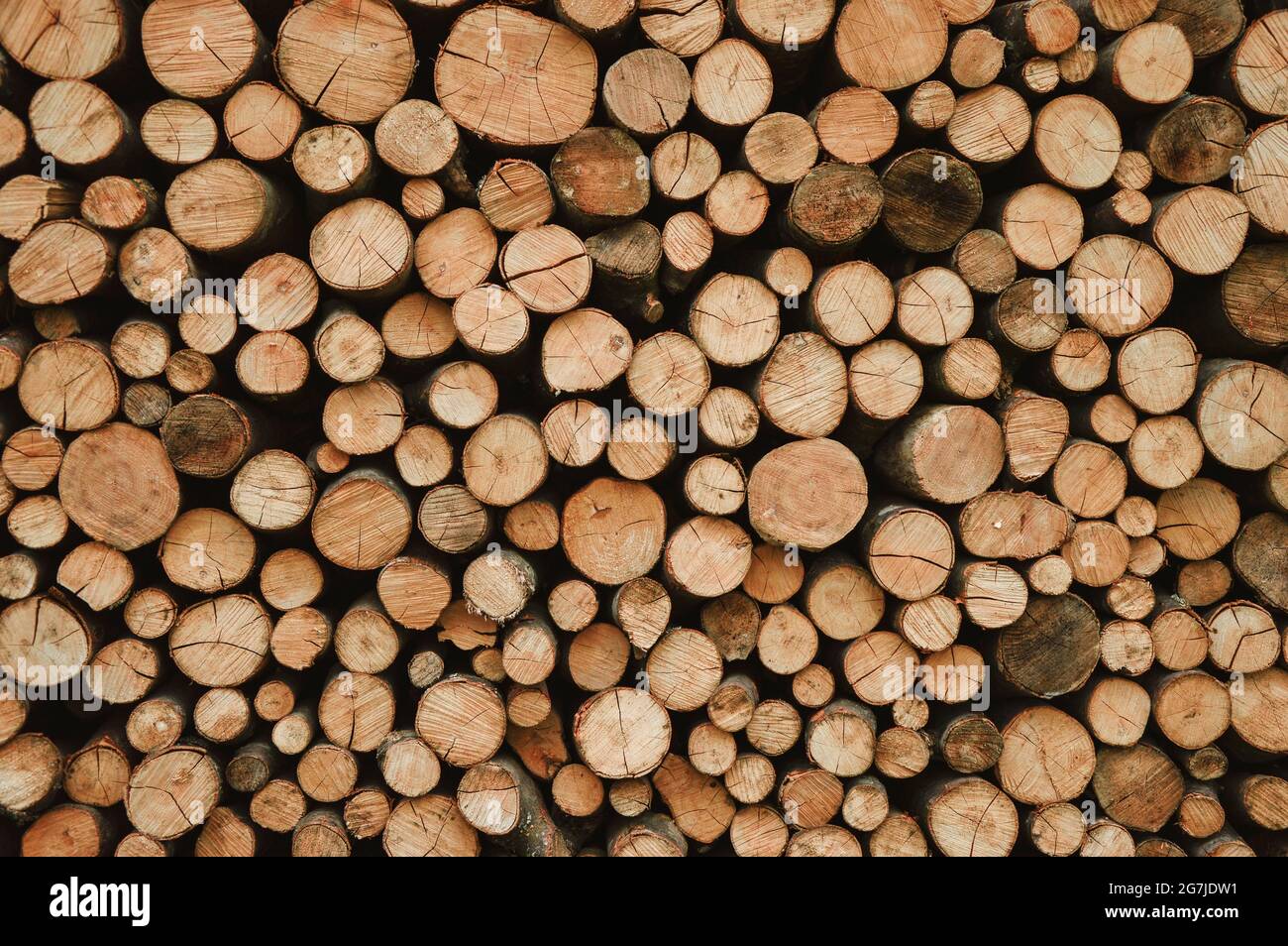 beautifully arranged round wood Stock Photo