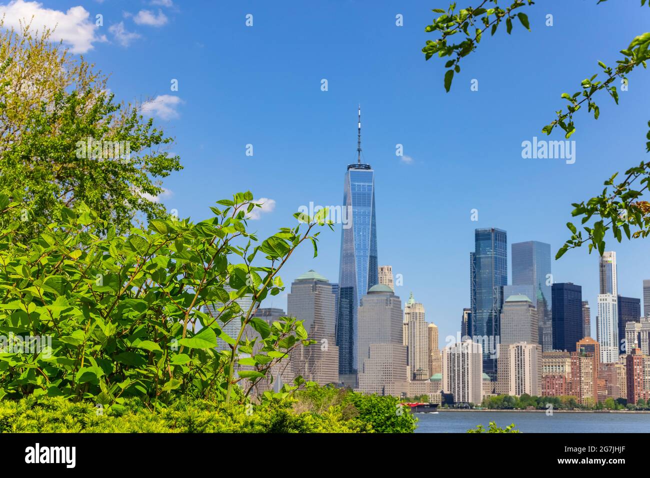 Lower Manhattan skyscraper stands beyond the growing fresh green trees