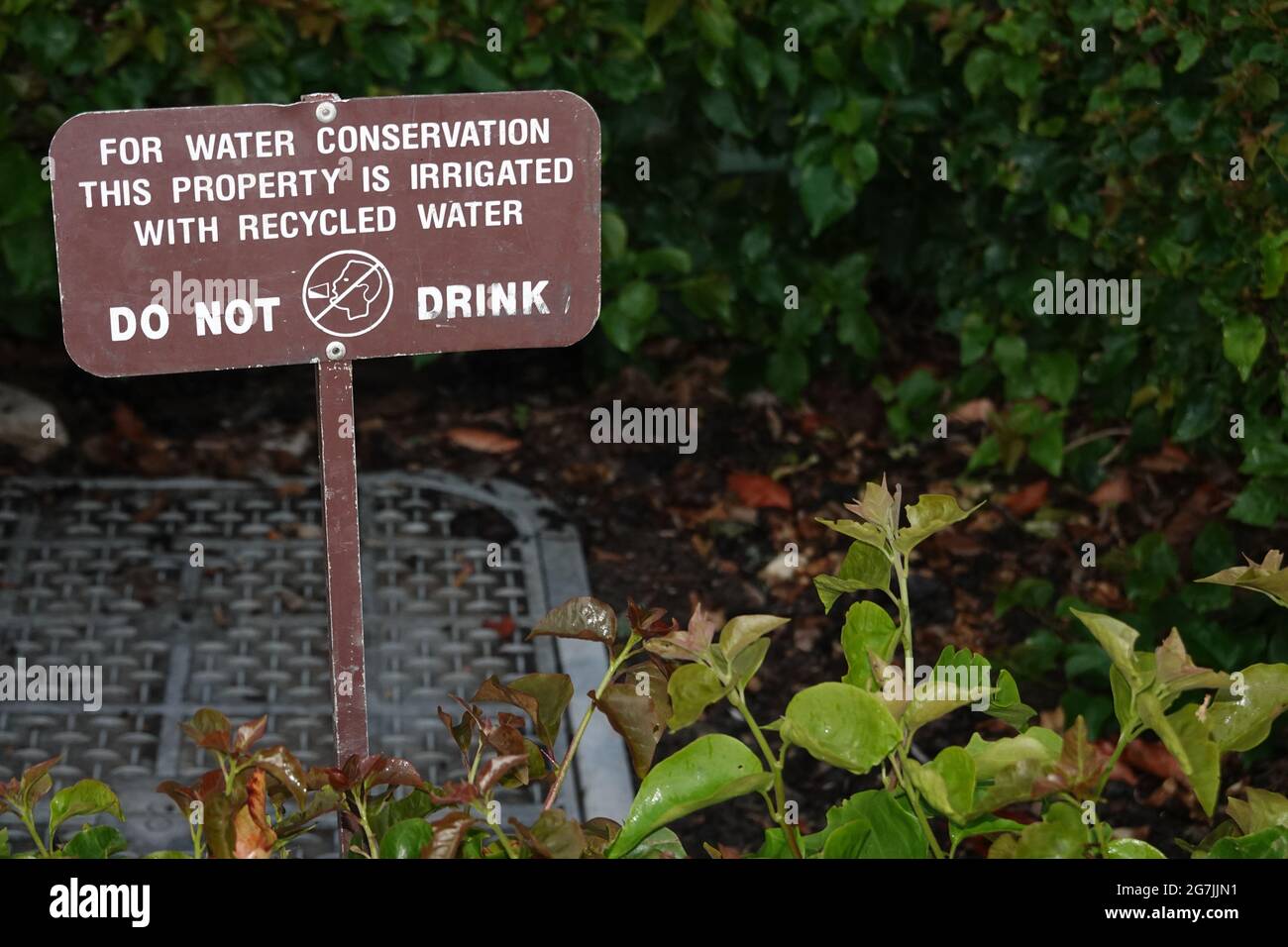 water conservation recycled water irrigation sign . do not drink water