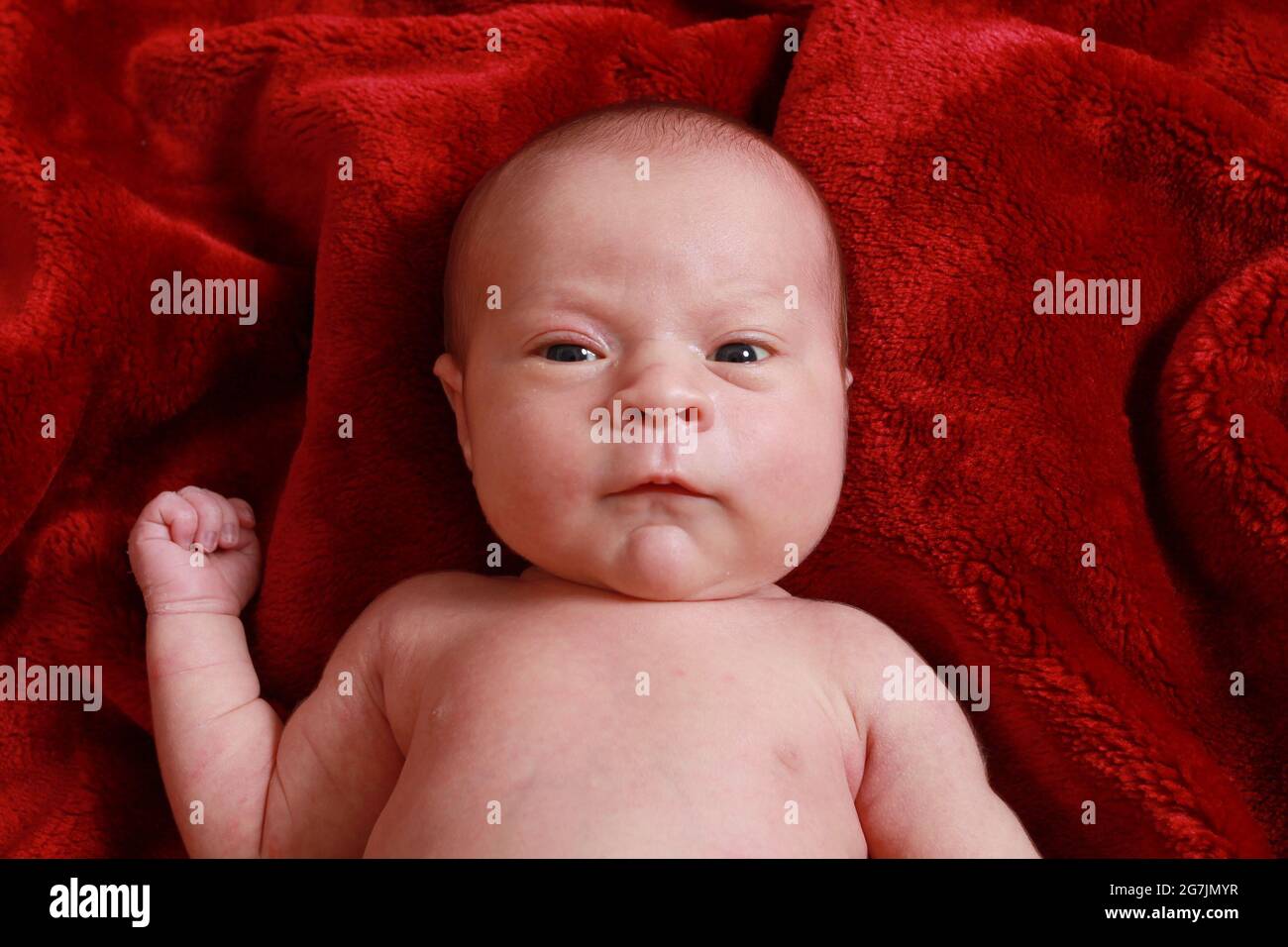 new born baby boy withUmbilical Cord Clamp still attached on red