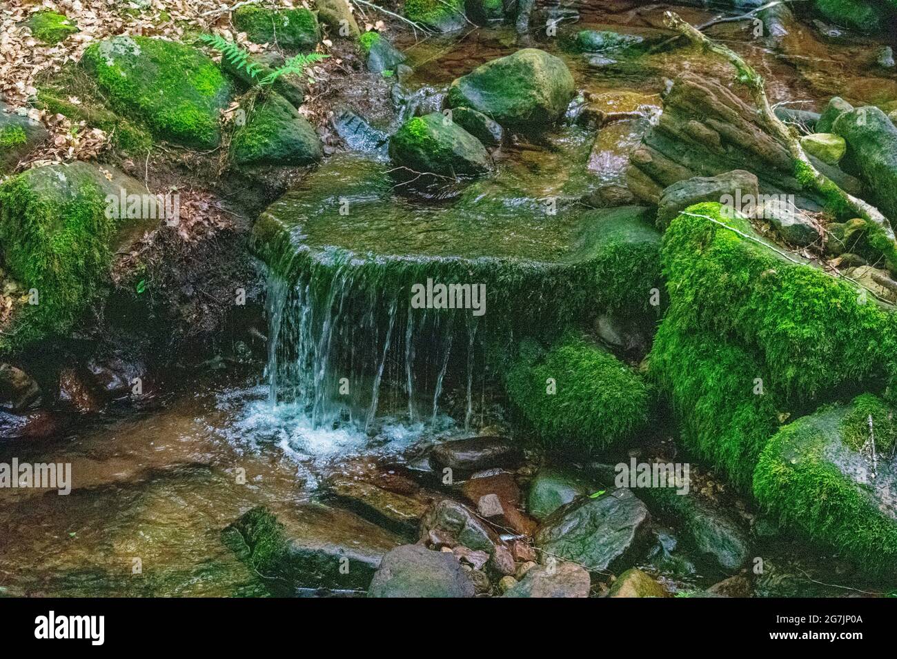 Mossy Rocks Fall Closeup shot of waterfall through mossy rocks Stock Photo - Alamy