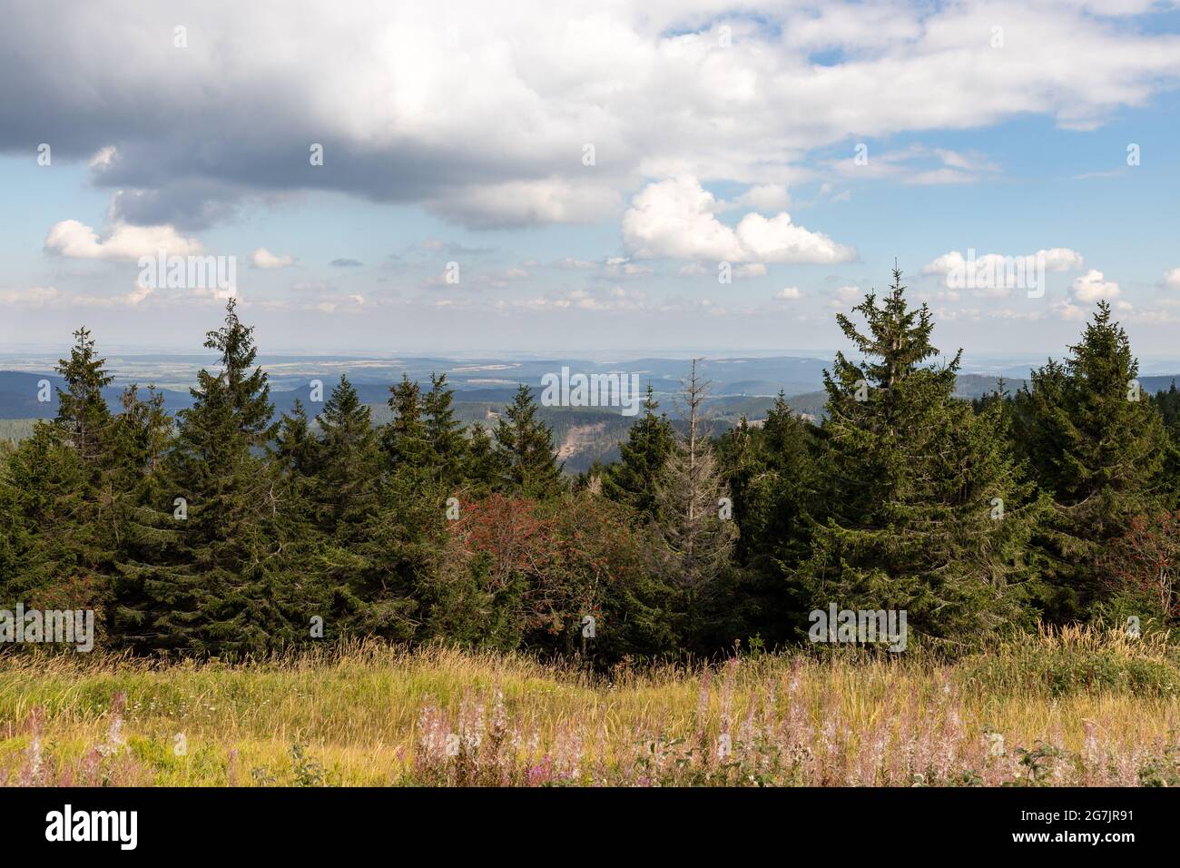 Beautiful scenery of a green landscape with many trees under a cloudy ...