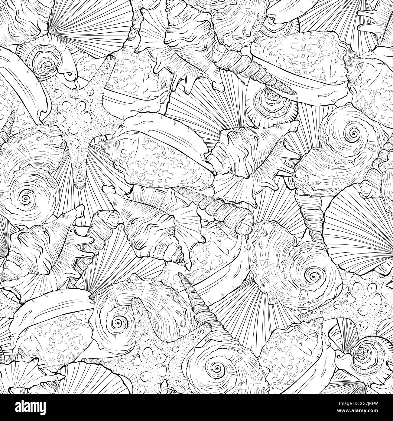 Marine seamless pattern from spiral sea shells and starfish Stock ...