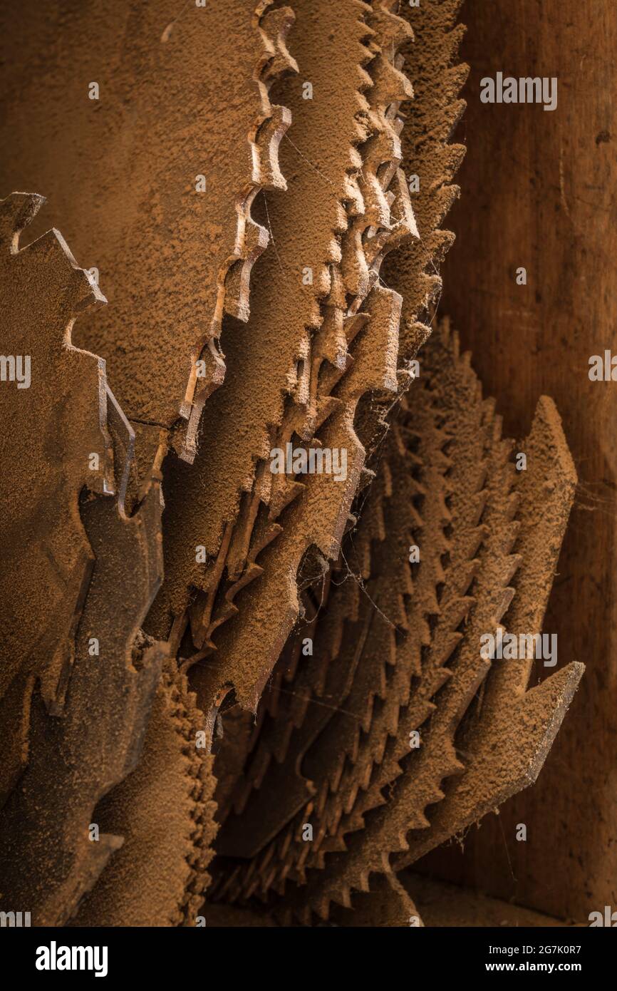 old rusty circular saw blades Stock Photo