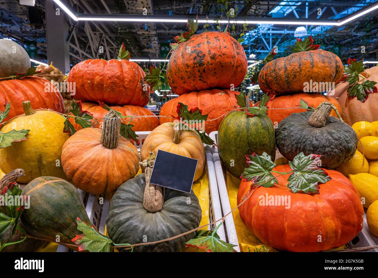 A pile of pumpkins, a stall with a ripe pumpkin close-up at a farmer's market. Copy space. Mockup. Stock Photo