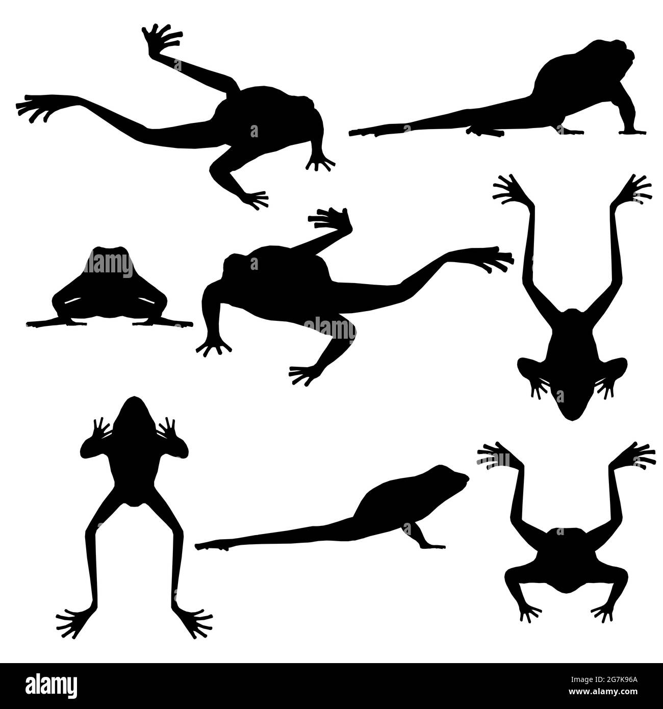 Set with silhouettes of frogs in different positions isolated on a white background. Vector illustration. Stock Vector