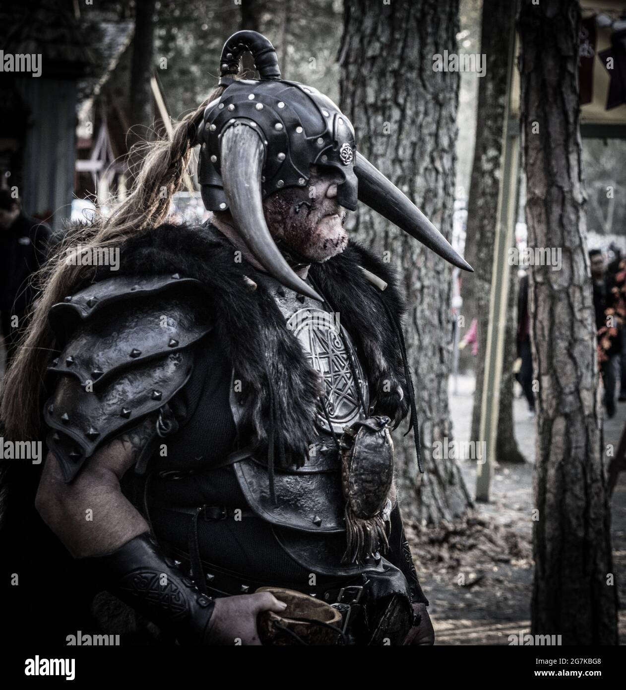 Viking raider at the Huntersville NC Renaissance Festival Stock Photo
