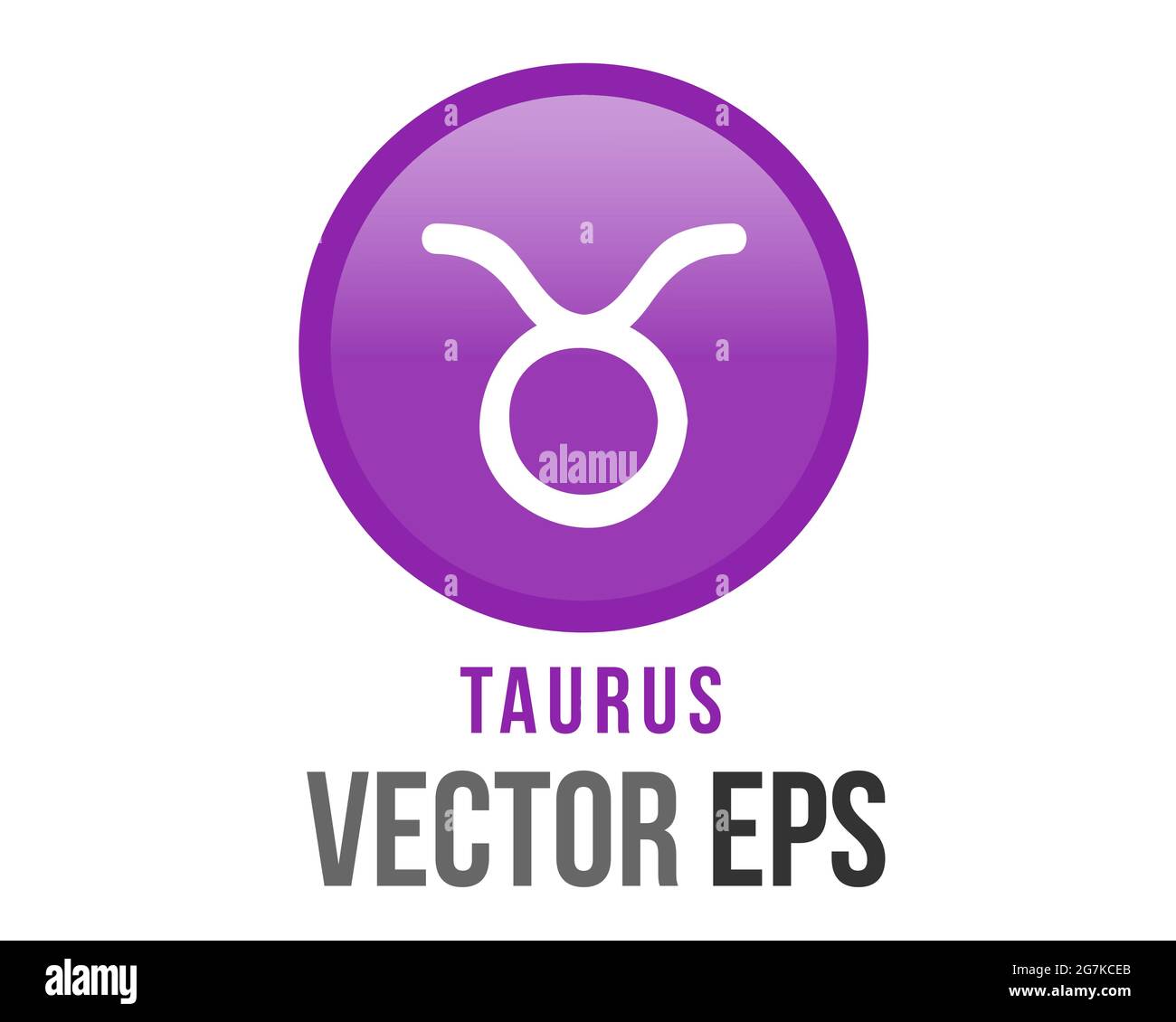 The isolated vector gradient purple Taurus astrological sign icon in the Zodiac,  represents bull Stock Vector