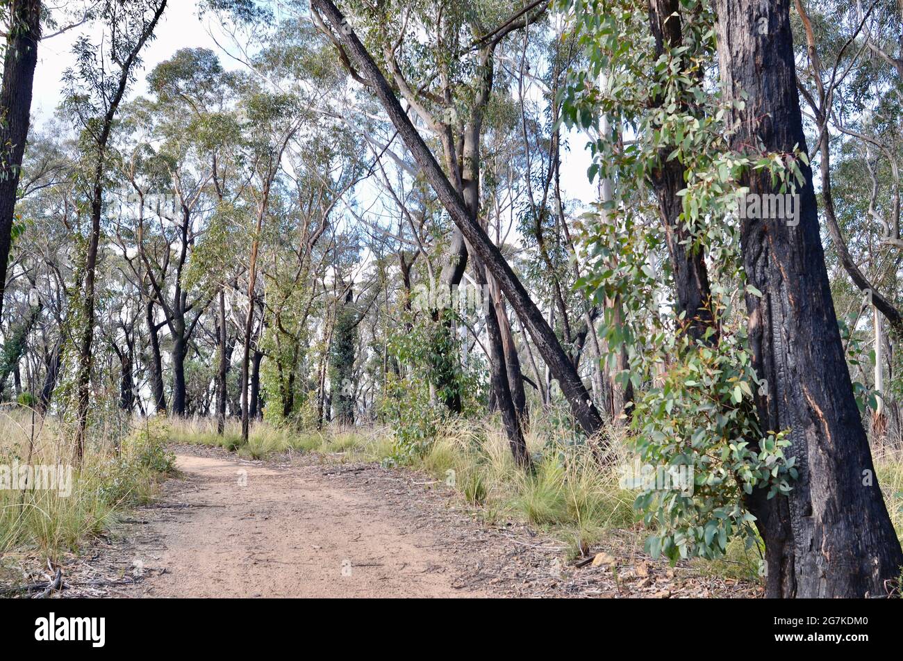 Hanging rock australia hi-res stock photography and images - Alamy