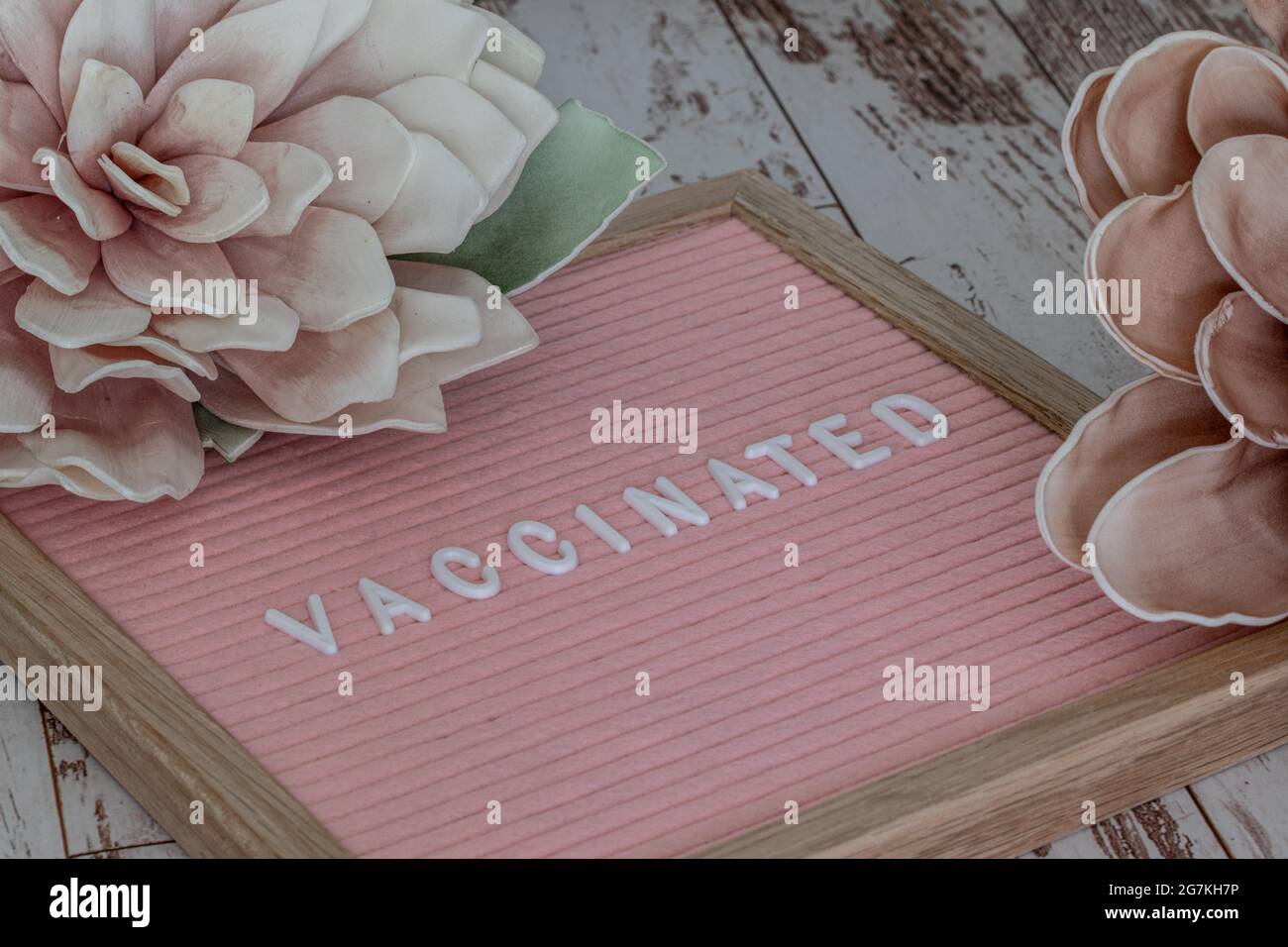Pink felt board on a wooden surface with white letters saying something in relation with the vaccine with big flowers around Stock Photo