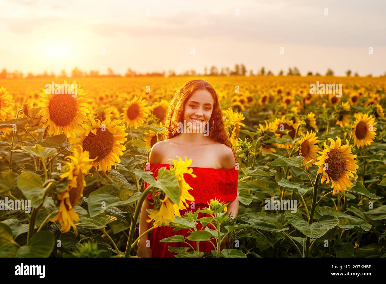 Young woman smiling at sunset in a field of sunflowers. A cute girl of ...