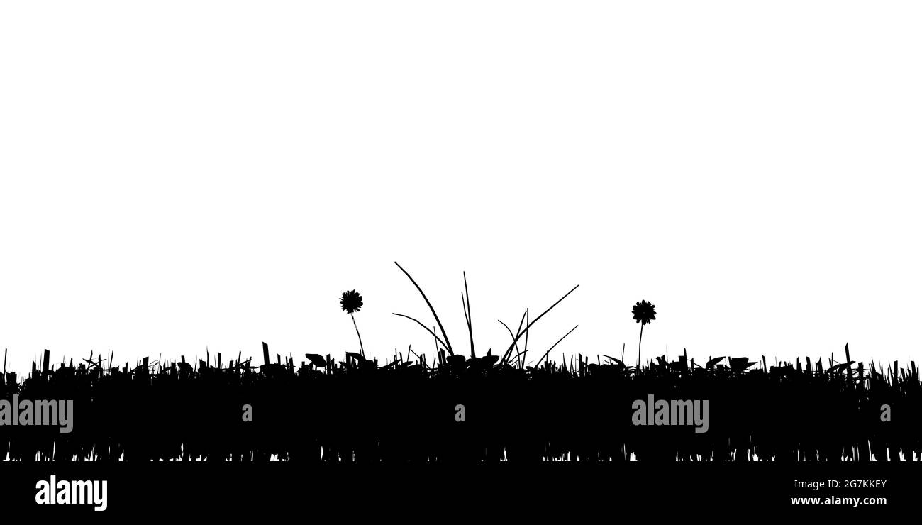 Silhouette of grass isolated on white background. Vector illustration ...