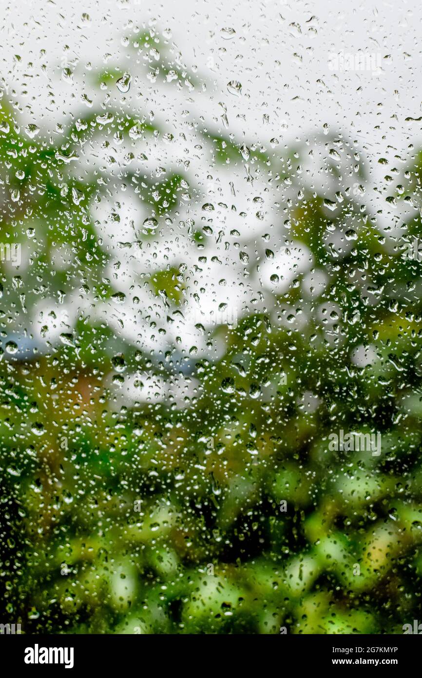 Abstract background of Raindrops on the glass of window of a car during  monsoon season with blurry plant and light bokeh background Stock Photo -  Alamy