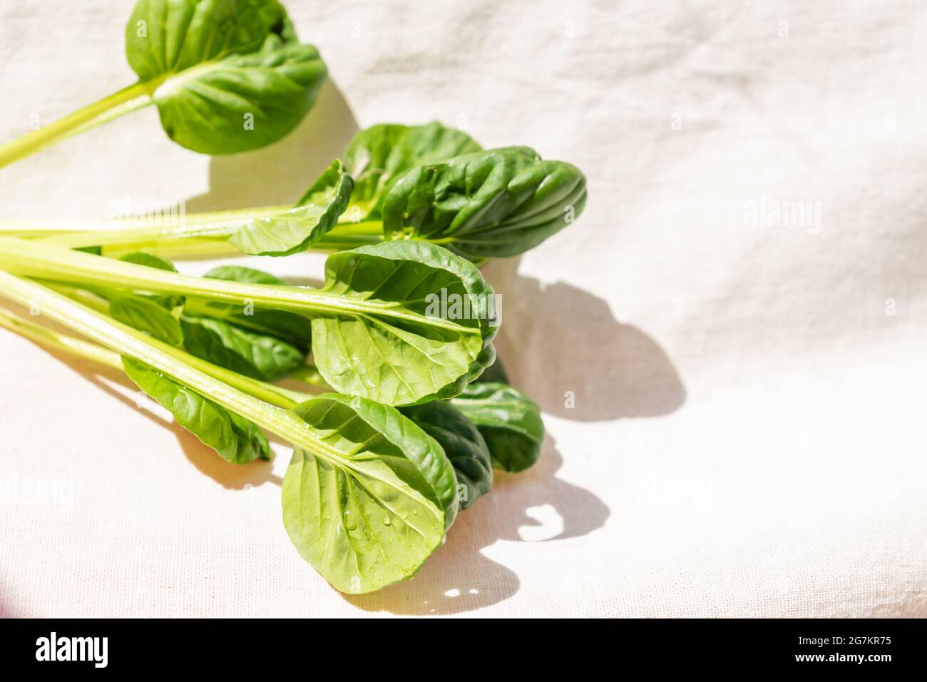 Fresh organic green healthy spinach leaves on white background Stock ...